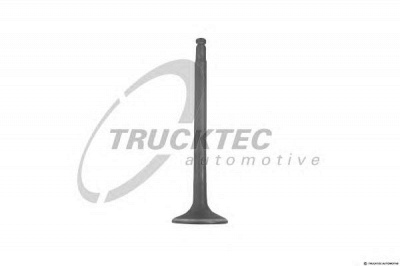 TRUCKTEC AUTOMOTIVE 0212141 -  Впускной клапан